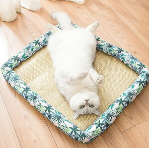 猫 ひんやり シートの人気商品 通販 価格比較 価格 Com