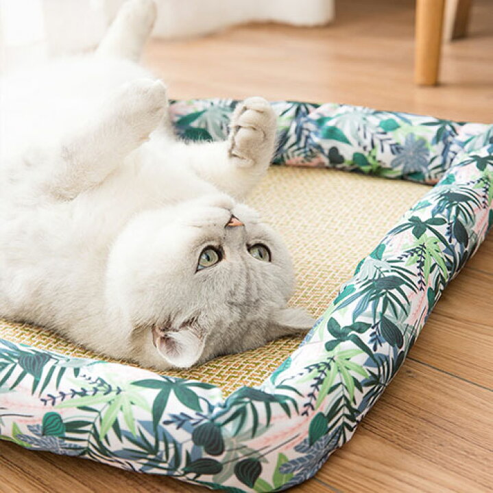 送料無料 ペットクールベッド ござ 夏ござ ペット ござベッド ひんやり 犬 猫 冷却ベッド 夏ペット用品 涼感 冷感ベッド 動物クールベッド 冷えベッド 柔らかい 噛む予防 水洗い可 熱中症暑さ対策 60 41cm 海外通販 最安価格