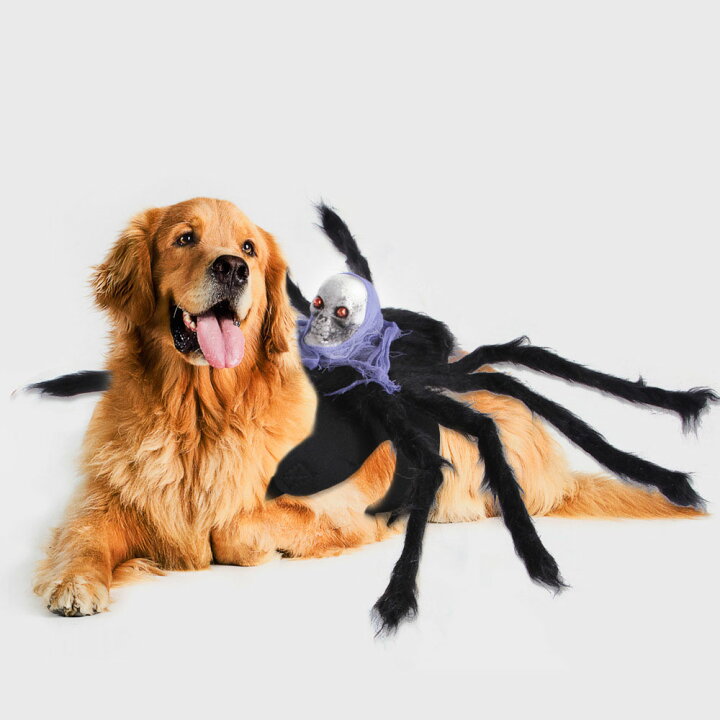 楽天市場 送料無料 ペットの服 ハロウィン Halloween 蜘蛛 クモ ドクロ 髑髏 どくろ 全3サイズ 5カラー マジクタイプ 着ぐるみ 可愛い 犬猫ハット ペット用コスプレ 着脱簡単 犬 猫 犬 キュート ドッグウェア 面白い 撮影道具 おしゃれ 着せ替え 変身グッズ パーティー