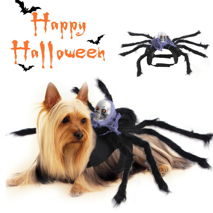 楽天市場 送料無料 ペットの服 ハロウィン Halloween 蜘蛛 クモ ドクロ 髑髏 どくろ 全3サイズ 5カラー マジクタイプ 着ぐるみ 可愛い 犬猫ハット ペット用コスプレ 着脱簡単 犬 猫 犬 キュート ドッグウェア 面白い 撮影道具 おしゃれ 着せ替え 変身グッズ パーティー