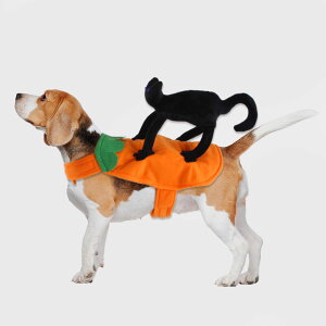  ybg̕ nEB Halloween L S4TCY }WN^Cv   Lnbg ybgpRXv EȒP  L  L[g hbOEFA ʔ Be  