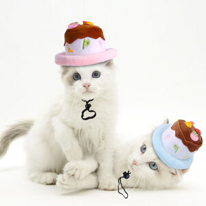  ybgXq nEB Halloween P[L cake 2J[ a   Lnbg ybgpRXv EȒP ^ L  L[g hbOEFA ʔ Be 
