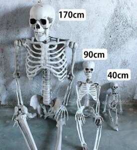  fBXvCKCRc y40cmz XPg hN | z[fBXvC ݂グ nMOXPg nEB u ݂グ[ z[nMO ~ 