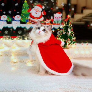  ybg̕ NX}X a }g cape Xmas S3TCY Xqt   Lnbg ybgpRXv EȒP L  L[g hbOEFA ʔ Be  