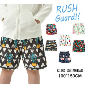   j̎q T[tpc LbY  Cp LbYT[tpc bVK[h LbY  q q jq  w ct   Vv UVJb