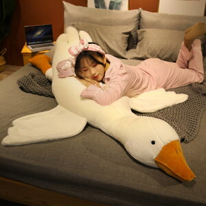 y160cmz ʂ K`E 傤 @ 傫 zCg  NbV CeA q    ޏ ӂӂŖ _炩 Sn v[g M