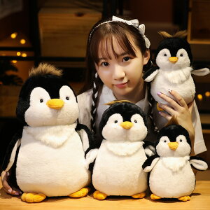 y23cmz ʂ yM penguin  NbV CeA q    ޏ ӂӂŖ _炩 Sn v[g Mtg yVCOʔ