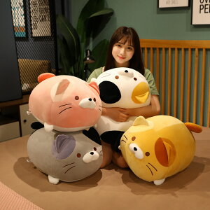  ʂ L 60cm  lR Lbg CeA q     킢 ޏ ӂӂŖ _炩 Sn Mtg v[g yVCOʔ
