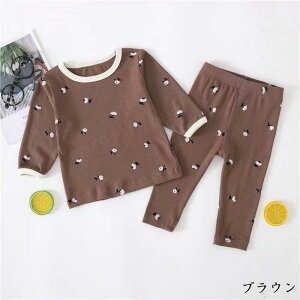  xr[  ㉺2_Zbg xr[ pW} ԕ ̎q j̎q 0`2 xr[ V t H ~ 66 73 80 90 100cm [EFA iCgEFA gbvX {gX ㉺Zbg 