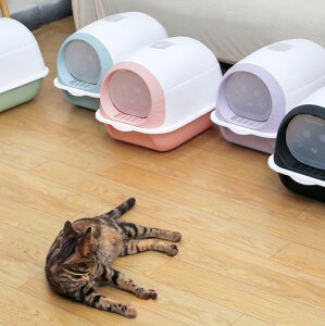  L gC LbggC S5J[ U炩ɂlRgC  { tJo[ LgC |ȒP юUɂ ^L lRgC ybggC Lpi XRbv