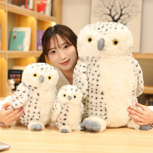 y30cmz ʂ tNE barn owl Tyto alba 傫  NbV CeA q    ޏ ӂӂŖ _炩 Sn v[g Mtg y