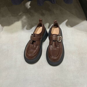  V[Y [t@[ pvX ɂȂ  EhgD ubN 6CM tFCNU[ ₷ ₷  r q[Ŕr   ʋ 