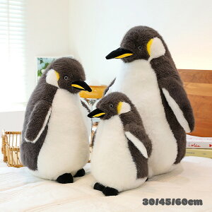  ʂ  yM penguin l`  NbV CeA j ޏ Mtg ̎q q   킢 ޏ ӂӂŖ _炩 Sn