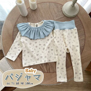  xr[pW} xr[ LbY [EFA ԕ  xr[ V X^C O 悾ꂩt pW} Y{ pc ㉺Zbg lGp k Ԃ 