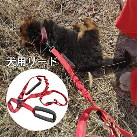 送料無料 犬 リード 犬用リード 柔らかい サブグリップ付き 反射 訓練リード 丈夫 小型犬 中型犬 大型犬対応 おしゃれ 多機能 ペットグッズ ドッグリード 犬用リード 犬縄 散歩用 衝撃吸収 犬 リード 楽天海外通販