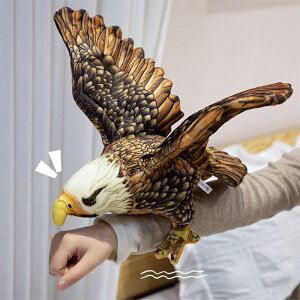  ʂ V    Aȃ^J CeA j ޏ Mtg ̎q q    킢 ޏ ӂӂŖ _炩 Sn 3TCY 