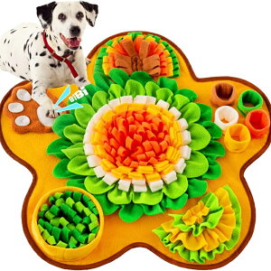   Pѕz ybg V koP ^s a}bg kop Vяꏊ  H΍ ybgpi Lp yVCOʔ