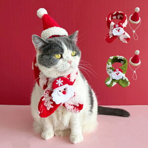  NX}X ybgp}t[ Xqt h Lp悾ꂩ 킢  Lp / t^I ru  y U o LpXJ[t ybgo_i _炩