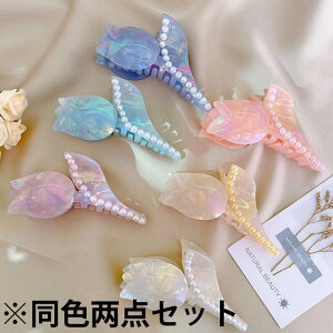  2g 2_Zbg wANbv 傫  o ob^ Vv oXNbv ǂ ins 킢 ܂Ƃߔ wAANZT[ wAAW   EFfBO Mt