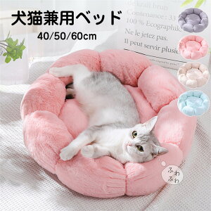  ybgxbh  L xbh ^ ^ ^p Lpxbh  pi Lpi ybgpi NbV ybg\t@ H~p ybgQ ΍ p v[g  