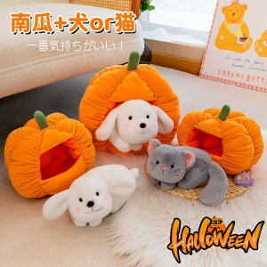  ʂ J{` Z  LO v[g CeA j ޏ ̎q  q   30cm 킢 ޏ ӂӂŖ _炩 Sn 