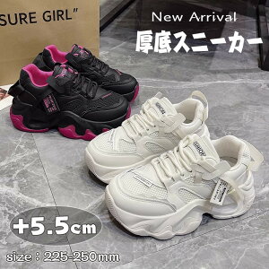  New Arrival Xj[J[ _bhXj[J[ [XAbv  C V[Y fB[X nCJbg nCJbgXj[J[ Cq[ r gAbv X|[c Vv t 