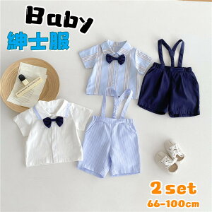  LbYX[c tH[} j̎q Vc n[tpc xr[ X[c  m  2_Zbg jVc am  {Q  ct ܎O a LO