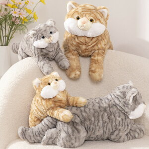  ʂ L lR CAT  NbV CeA   ޏ ӂӂŖ _炩 Sn nEB NX}X v[g Mtg   ʔ ޏ