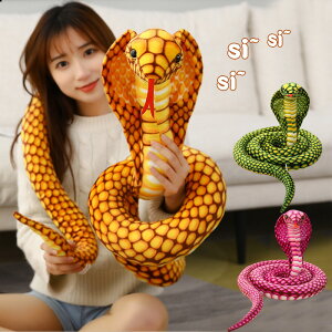  ւ ʂ LORu  AȎ  NbV u _炩 hbL rbN  G | ঒  Aj} ҏb i 