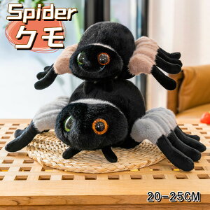  ʂ N XpC_[ w spider q   \t@NbV  | CeA j a ޏ Mtg Sn ObY ӂӂ ʔ ޏ 