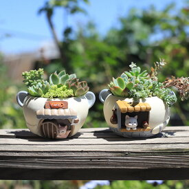 送料無料 植木鉢 プランター カクタス ミニ 多肉 ガーデンポット 軽い コケリウム 苔リウム 箱庭 鉢 可愛い サボテン スカイガーデン 多肉植物 寄せ植え 置物 インテリア かわいい 樹脂 テラリウム 容器 卓上 ガーデニング グッズ 雑貨 ミニハウス 楽天海外通販