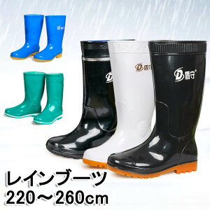 Cu[c CV[Y ~J΍ C WjA h JC Y fB[X  Ou[c K[fjOu[c AEghA h ނ [N |  J _ ʋ ʊw 