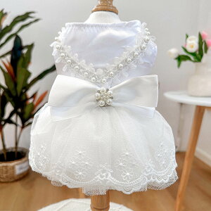  ybgp EFfBOhX ybg̕ tH[}hX [Xs[X L m lR RX`[ L ʐ^ Be ϐgybgpi  j LO p[eB[  