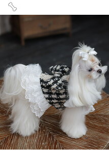  ybgp EFfBOhX ybg̕ tH[}hX [Xs[X lolita L m lR RX`[ L ʐ^ Be ϐgybgpi  j LO p[eB[ 