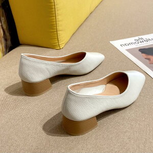  pvX ɂȂ V[Y [q[ VJbgfUC ₷ ʋ ItBX pvX EhgD [t@[ fB[X C  tH[} Ȃ wlC 