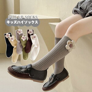  2Zbg qp nC\bNX LbYnC\bNX ̎q qC [Y\bNX   C Ђ ۈ牀 ct C h tďH~ JWA t@bV 