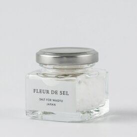お肉に合う大粒ソルト 25g フルールドセル　天日塩 ステーキ 黒毛和牛 牛肉 男性 女性 調味料 ギフト おしゃれ 2000円