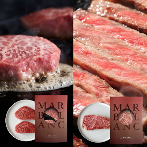 熟成肉 ギフト 黒毛和牛 極上の味わい対決セット プライムロインステーキ & 極上赤身ステーキ 計400g 2種×各1pc 各2pc 各3pc リブロース ランプ イチボ マルシン シンシン 特殊包装で冷蔵状態に