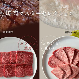 n Mtg јa ēZbg ~ē & Ԑgē v400g(2×e1pbN) v800g v1.2kg ŗ①ԂɂčŒ14Ԃ̕ۑ beef wagyu yakiniku a ̓ Mtg ΂ ̓ 