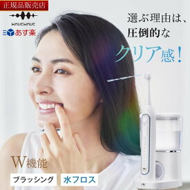【正規販売店】【在庫限り】WAVEWAVE ジェットウォッシャー ブラッシング ＆ フロス 口腔洗浄器 電動歯ブラシ USB充電 ウォーターフロス タフトブラシ 風呂 フロス マウスウォッシャー 歯間 口 歯 水流 口内洗浄 プレゼント ギフト