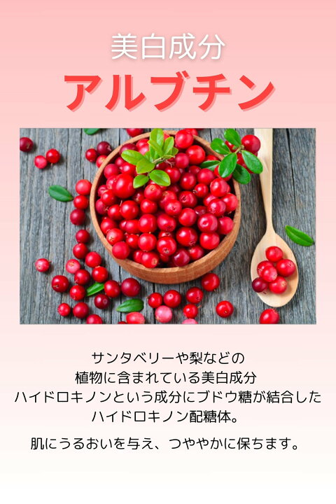 楽天市場】【正規品販売店】DM CELL B.T.X.エッセンジット5% 100ml BTX 