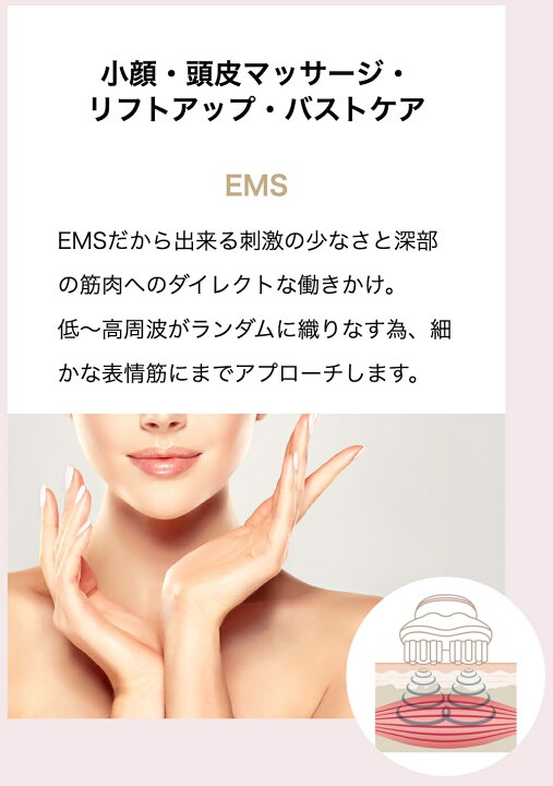 楽天市場】【正規品販売店】【1年保証】【限定50,000円クーポン 