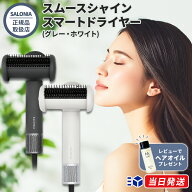 【正規品取扱店】SALONIA スムースシャイン スマートドライヤー グレー/ホワイト 速乾 ヘアケア ヘアドラ…