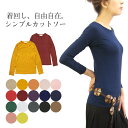 エスニック Tシャツ カットソー ロンT 長袖 無地 フィット タイト 重ね着 インナー レイヤー ファッション レディース アジアン シンプル ストレッチ スパンデックス 山ガール【メール便可 1.5cm】【1】