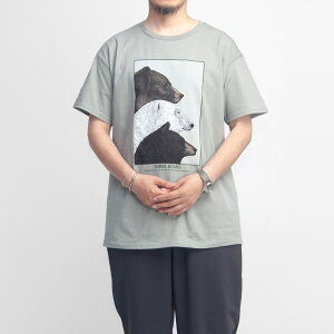 LIBERTY GRAPHICS ���o�e�B�O���t�B�b�N�X Three Bears �v�����gT�V���c �����Y