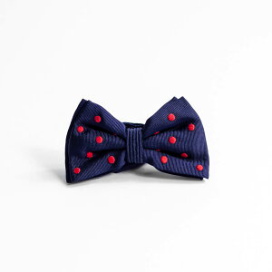 JUPE BY JACKIE �W���b�v�o�C�W���b�L�[ ��h�J ���l�N�^�C �V���N100�� �{�E�^�C �� �h�b�g