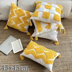 񖇃ZbgNbVJo[ k 45x45 100 CG[ Rbg |փ~A  Vv ` ` ʋC ېOK h~  45*45  NbVJo[̂ CG[n