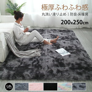 送料無料 ラグ ラグマット ラグカーペット マイクロファイバー 北欧 おしゃれ カーペット 洗える 北欧 rug ウォッシャブル 玄関マット ベッドサイド アクセント ラグ 丸 床暖房 ホットカーペ