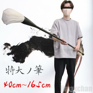 uyV1ʓ܁IvCy M  M  ptH[}Xp ptH[}X  n` 厚 Bl K i N G莆 G