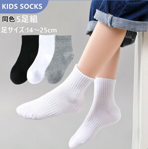 LbY XN[\bNX 5g q C n Zbg 14-25cm qp w \bNX  C V[g\bNX j̎q ̎q  킢 WjA  ۈ牀 ct ʉ ʊw 